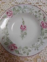 Gyönyörű rózsás gyöngyös szélű, porcelán fali tányér, lepattanással a szélén