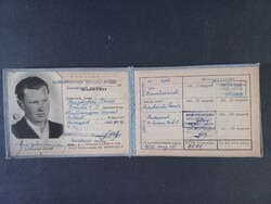 Igazolvány Aluminiumipari Tervező Intézet - 1956 - Szigetvári János született Dunaharaszti 1915-ben