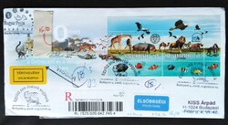FF4949ea / 2008 Debreceni és Veszprémi állatkert blokk FDC-n elsőbbségi ajánlott tirtiv. levélen