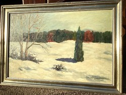 Halasi Horváth István