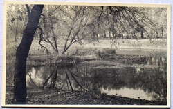 Balaton - Alsó-Gyenes - retro fotó képeslap  1955