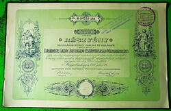 Csanádmegyei Gazdák Áruforgalmi Rt. Magyarbánhegyes (Viharsarok) részvény 477.50 Korona, (1921) - ri