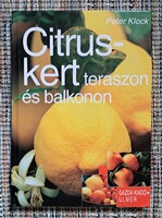 Citruskert teraszon és balkonon