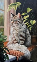 Dabronaki Cica az ablakban 50x30 cm olaj-vászon