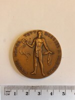 Minden nemes tett dicsőség a hazának Közalkalmazottak SE 1945 Sportérem