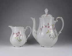 1W094 Régi német Tetmajer virágmintás porcelán teáskanna és tejszín kiöntő