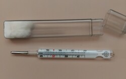 RÉGI LÁZMÉRŐ HŐMÉRŐ TOKJÁBAN