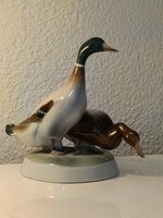 Zsolnay Vad kacsa pár, Gyönyörű Hibátlan