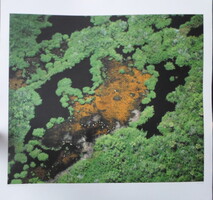 Poszter 29.: Everglades Nemzeti Park, Florida, USA (fotó)
