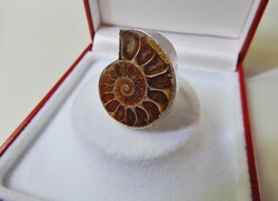 Régi fém gyűrű fosszília díszítéssel