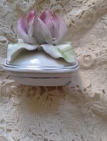 Cluj - Napoca bonbonier Lucsu Manuel