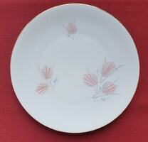 Plankenhammer Floss Bavaria német porcelán kistányér süteményes tányér arany széllel