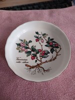 Villeroy & Boch Botanica tartelette sütő quiche forma vörösáfonya mintás porcelán hőálló
