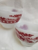 Tejūveg kávés csésze párban