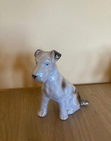 Fényes foxterrier porcelán 10 cm