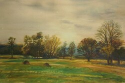 Bóka Dezső (1935 - ) : Rét  (Gigei táj)