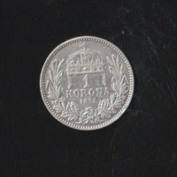 1 Korona 1895