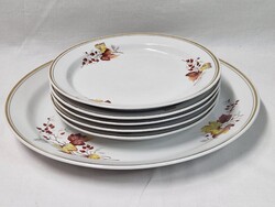 Régi Hollóházi őszi mintás porcelán süteményes készlet szép állapotban