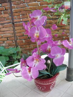 Orchidea művirág bordó kerámia kaspóban