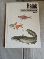 Szép régi Búvár Zsebkönyv: Halak (1988)