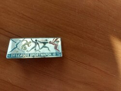 National Sports Days 1970 badge, pin