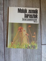 Szép régi Búvár Zsebkönyv: Mohák, zuzmók, harasztok