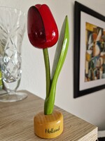 Holland fa tulipán