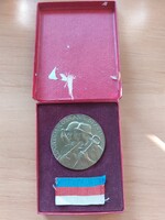 Aranyozott Csehszlovák hadi emlékérem