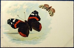 Antik  Raphael Tuck litho képeslap - pillangók