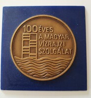 100 Éves A Magyar Vízrajzi Szolgálat bronz emlékérem 1986  díszdobozban  4 cm