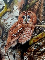 Dabronaki Bagoly 40x30 cm olaj-vászon