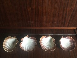 4 tengeri shell kagyló - 13,5 x 12 cm