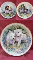 Angol Royal Vale  Csontporcelán tányér kutya dekorral