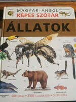 Magyar-angol képes szótár : Állatok (12)