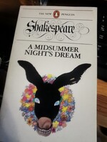 A midsummer night's dream (12)