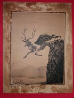 Antik metszet 1901. Megriadt szarvasok szakadékba zuhannak Kuzmányi G. Jenő Losonc szignóval