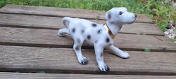 Dalmata a fülén kis hibával 11x15 cm