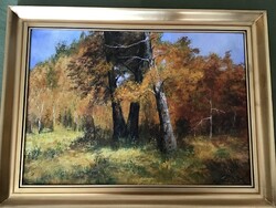 Olajvászon festmény erdőbelső 85x63cm.