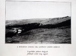 Mőcsény - Javított közös legelő : Legelődre juttas trágyát, Jólétnek veted meg ágyát - régi képeslap