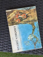 Csukás István Erdőben jártam leporello könyv  1968