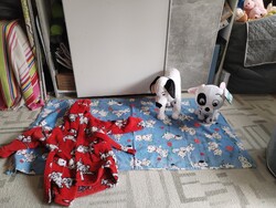 101 kiskutya csomag plüss köntös KÈPEK SZERINTI ÁLLAPOTBAN