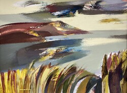 Vásárhelyi Kovács Tibor - Balaton nádassal