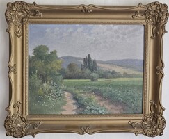 Zorkóczy Gyula Táj