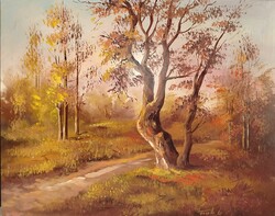 Finta László festmény, 40x50cm
