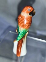 Herendi nagyon ritka miniatúra papagáj