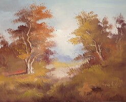 Finta László festmény, 40x50 cm