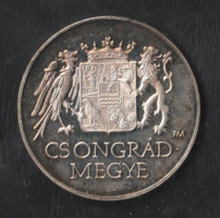 Csongrád megye Szeged plakett tároló dobozban