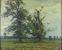 1P168 Bosznay István (1868 - 1944) : Nagy fa 1908