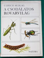 Dr. Ulrich Sedlag: A csodálatos rovarvilág  - Természettudomány > Állatvilág > Rovarok