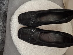 Salamander bőr női cipő